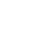 Issuer authentication