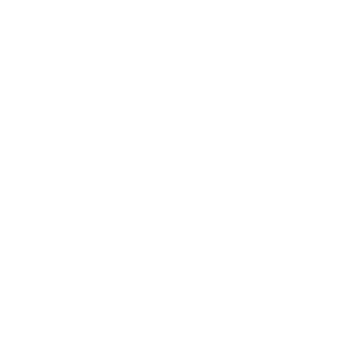 AI Solution