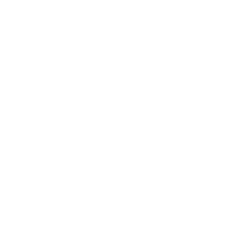 AI Solution