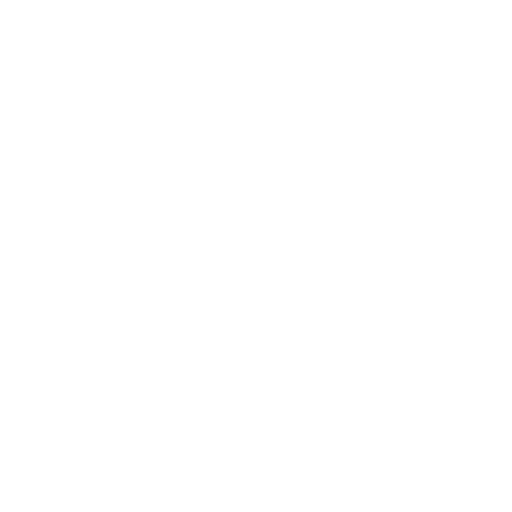 AI Solution