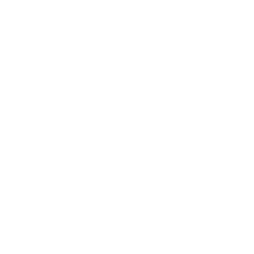 AI Solution