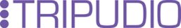 Tripudio | It Consultancy London |Business Growth Consultant | GRADEON UK TRIPUDIO | It Consultancy London | Business Growth Consultant | GRADEON UK